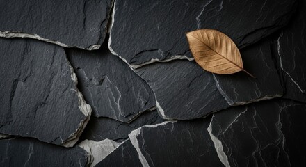 A single leaf rests on a dark gray stone tile arrangement, top down view