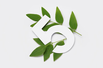 Fototapeta premium Green leaves with paper number five on white background