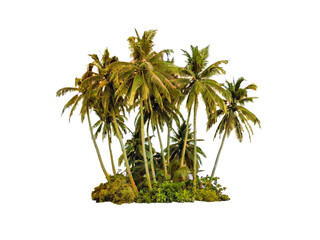A cluster of tall palm trees on a small island isolated on transparent background