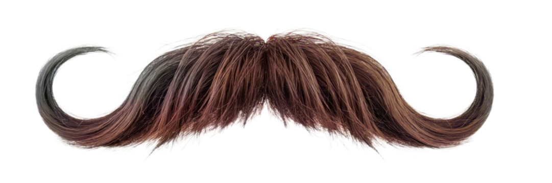 A full, brown vintage handlebar mustache isolated on transparent background