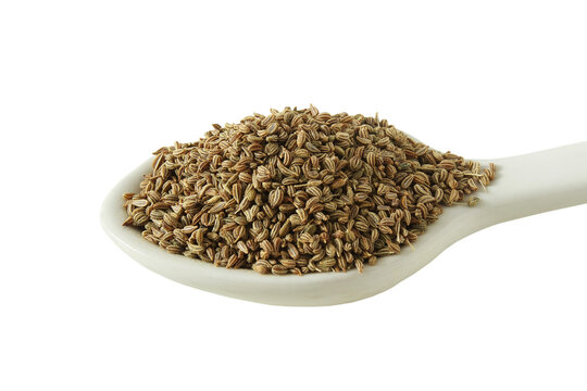 Ajwain or Ajowan caraway herb spice seeds, Trachyspermum ammi,  also known in India as ajmo, ajowan in spoon, cut out on transparent background, png format
