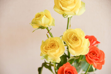 黄色とオレンジ色のばら