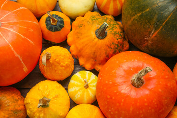 Texture of different fresh pumpkins, closeup