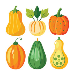 six hubbard squash vegetable separately set  isolated  on white background