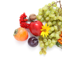 Different fresh fruits and berries on white background