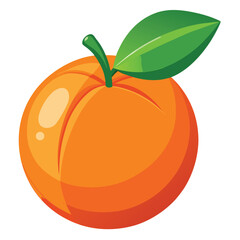 Vibrant cartoon illustration of a ripe orange peach with a green leaf on white background