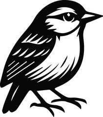 Song Bird, Sparrow bird design isolated on white background eps