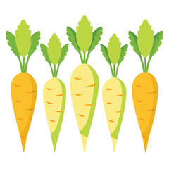 six parsnips vegetable separately set  isolated  on white background