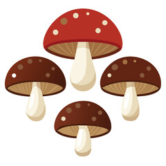 six portobello mushroom vegetable separately set  isolated  on white background