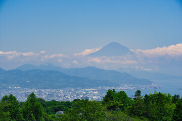 日本平から望む富士山