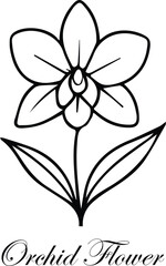 Orchid flower outline design isolated on white background eps