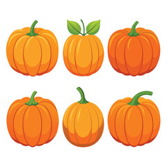 six pumpkin vegetable separately set  isolated  on white background