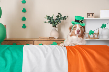 Cute Australian Shepherd dog in leprechaun's hat and Irish flag at home. St. Patrick's Day...