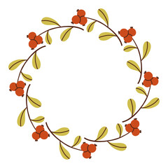 Autumn berry circle frame. Round border made of fall berries. The berries have different shapes and are arranged in a circle. Vector flat isolated on white background.