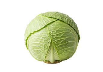 Vibrant green cabbage head presents a fresh, natural culinary delight