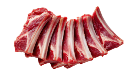 Raw meat ribs isolated on white background, ideal for culinary presentations and recipes.