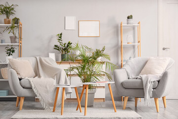 Cozy armchairs, shelving units, houseplants and coffee table in living room
