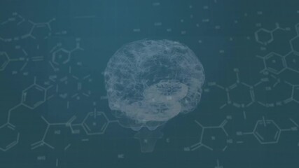 Blurry shape sharpening into wireframe brain rotating, molecules fading for visualizing chemistry - Powered by Adobe