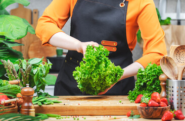 Chef woman handling fresh green lettuce while surrounded by a variety of healthy vegetables and...