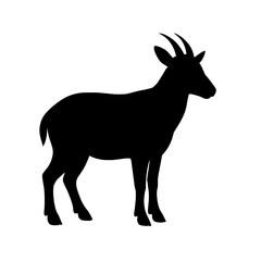 Fototapeta premium Silhouette of a Goral with Curved Horns on White Background
