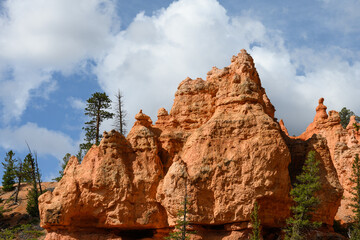 Looking up from base of the amphitheater on queens trail at dramatic orange rock hoodoos, summer vacation exploring in Bryce Canyon National Park, Utah
