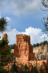 Looking through pine trees at castle shaped orange rock hoodoo, summer vacation exploring in Bryce Canyon National Park, Utah

