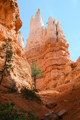 Looking up from base of the amphitheater on queens trail at dramatic orange rock hoodoos, summer vacation exploring in Bryce Canyon National Park, Utah
