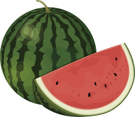 수박 일러스트 이미지