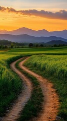 Fototapeta premium Winding Dirt Path Through a Green Field Towards Distant Mountains at Sunset