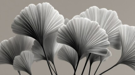 Detailed Black And White Ginkgo Leaves Abstract