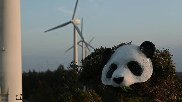 mascara de panda con molinos eoticos de fondo en la monta&ntilde;a