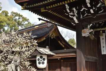 早春の北野天満宮　三光門付近(京都市上京区)