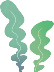 Seaweed and aquatic plant illustration