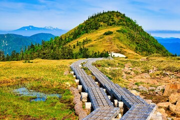 初夏の日本百名山の苗場山の木道