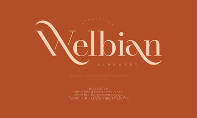 Decorative serif font with long elegant swashes, designed for modern luxury and branding