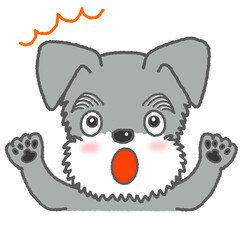 驚いた表情のミニチュアシュナウザーのイラスト