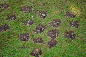 Grassy ground that has been dug up a little to be planted with grass again