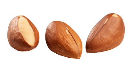 Three Argan nuts showcased against a dark backdrop highlighting their rich brown shell and creamy interior, for culinary or cosmetic purposes, transparent background
