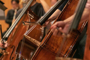 Close-up of Cello Players During a Classical Music Performance