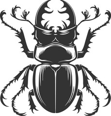 Beetle vector insect isolated silhouette black illustration