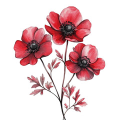 Obraz premium Branch of red anemone flowers on white background, watercolor drawing. Generative AI.