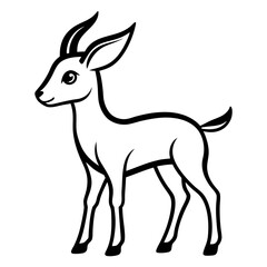 Gazelle on white background