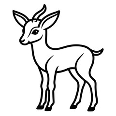 Gazelle on white background