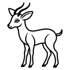 Gazelle on white background