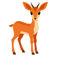 Gazelle on white background