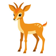 Gazelle on white background