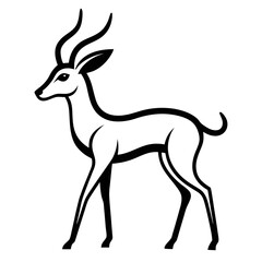 Gazelle on white background