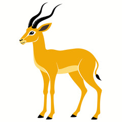 Gazelle on white background