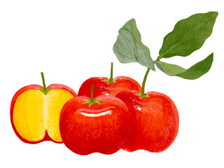 アセロラ（3個と断面）