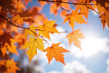 branch with yellow leaves against a blue sky